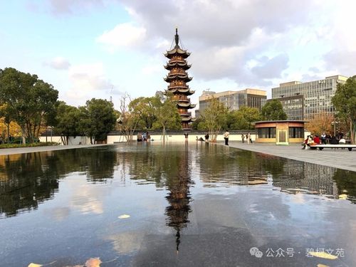 微信图片_2025-12-15_140325_844