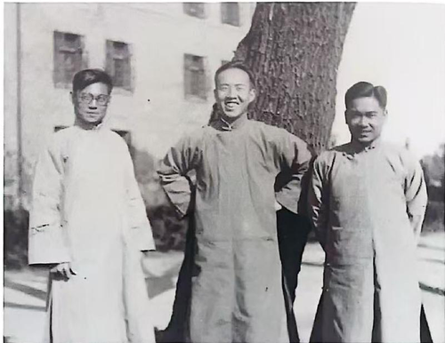 图片4