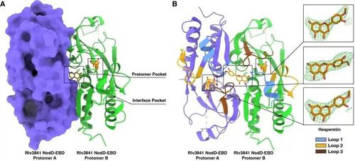 08f790529822720ee66fc81f511b0657f01fab97